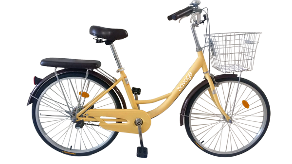 24" Urban Bike
