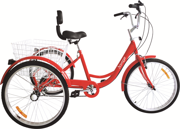 24" City Tricycle