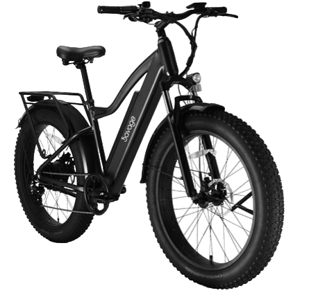 BMX Bike 20"
